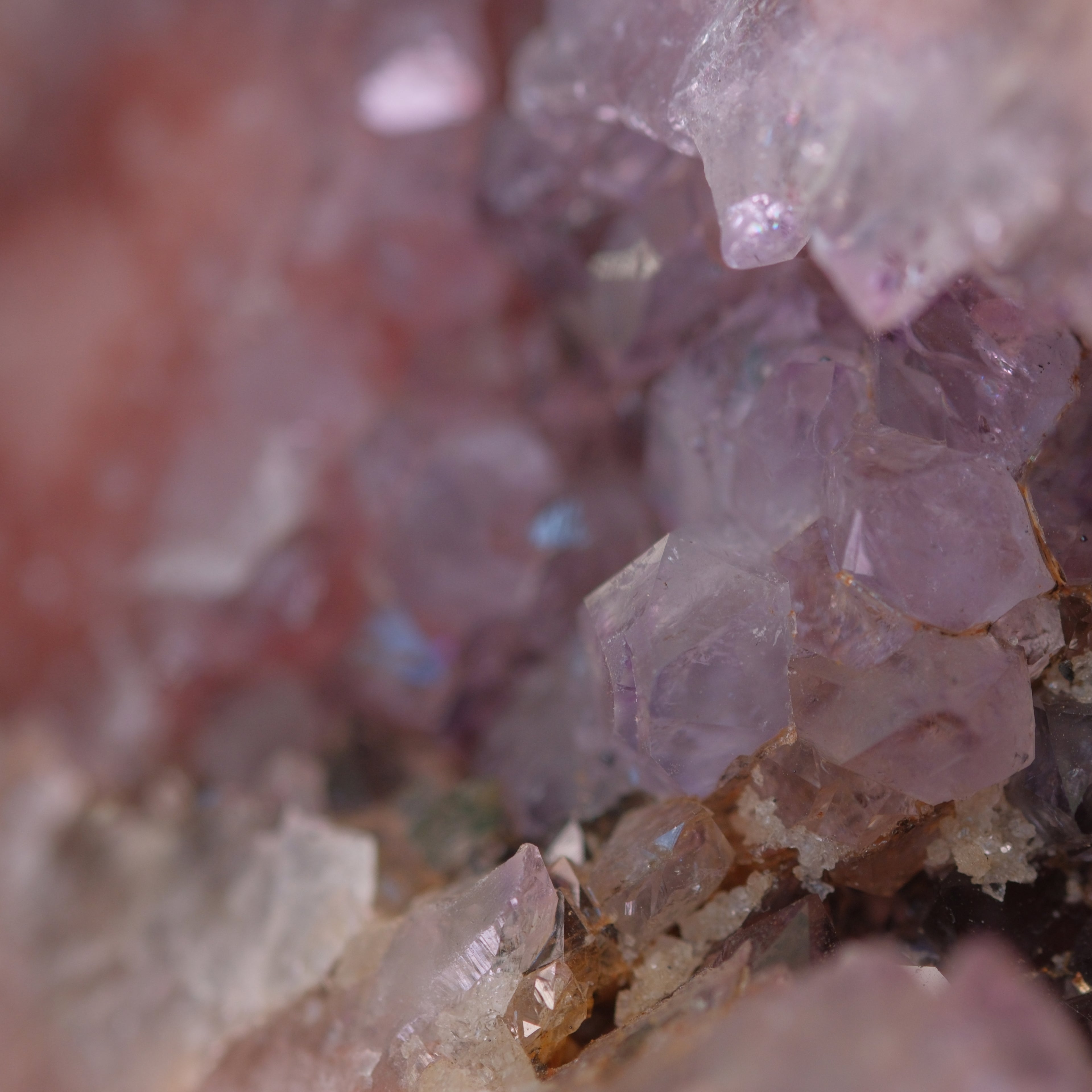 The Blossom Petal Amethyst