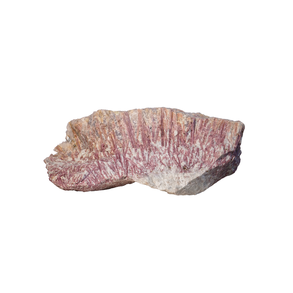 Symphony Tourmaline Carapace