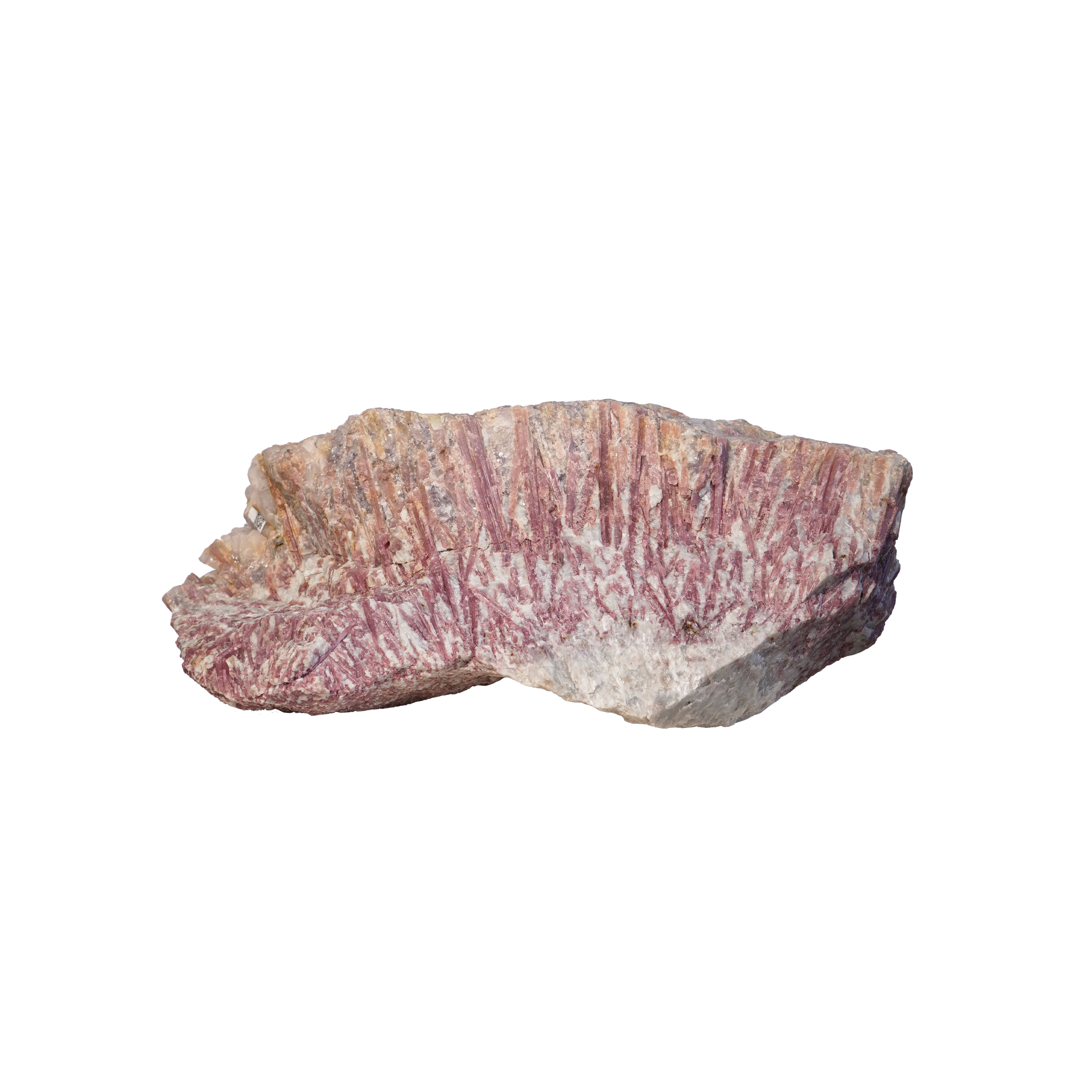 Symphony Tourmaline Carapace